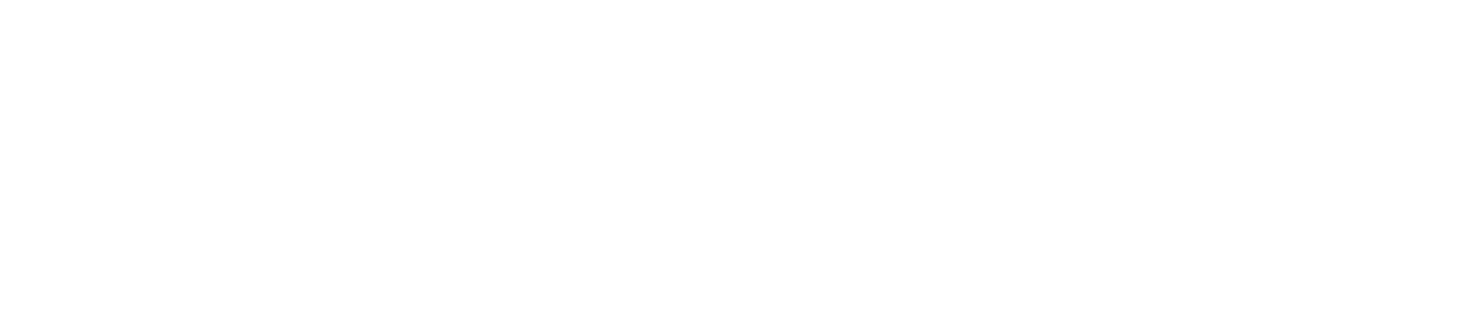 logo light